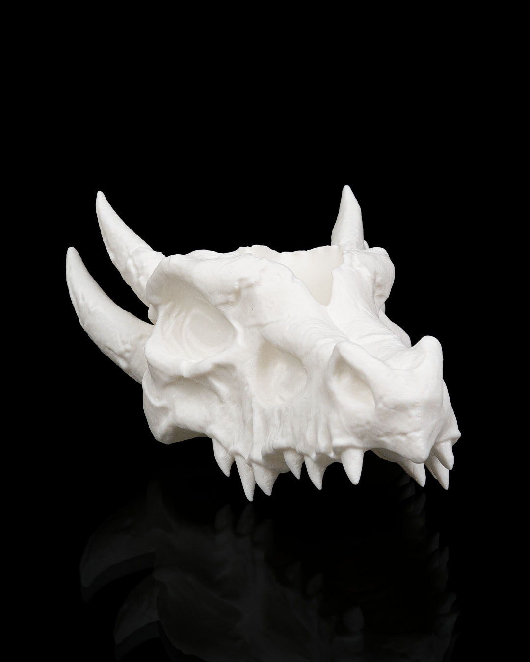 White 3D printed dragon skull planter with horns and hollow top for a small plant