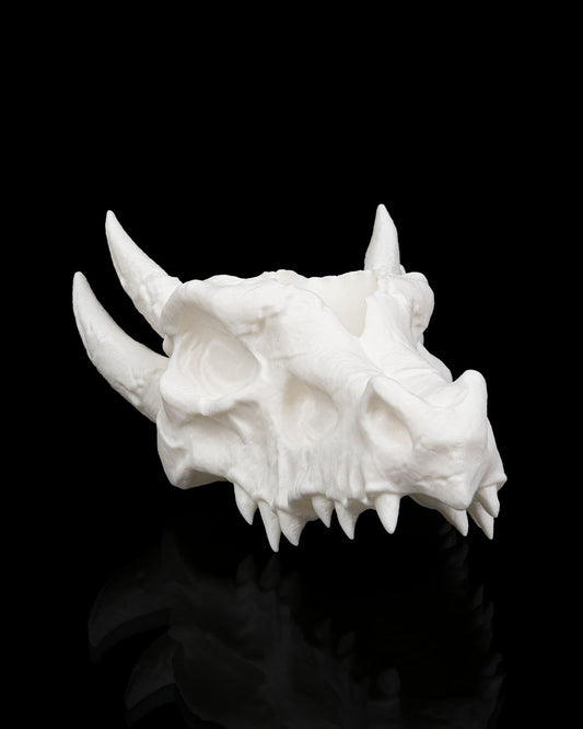 White 3D printed dragon skull planter with horns and hollow top for a small plant