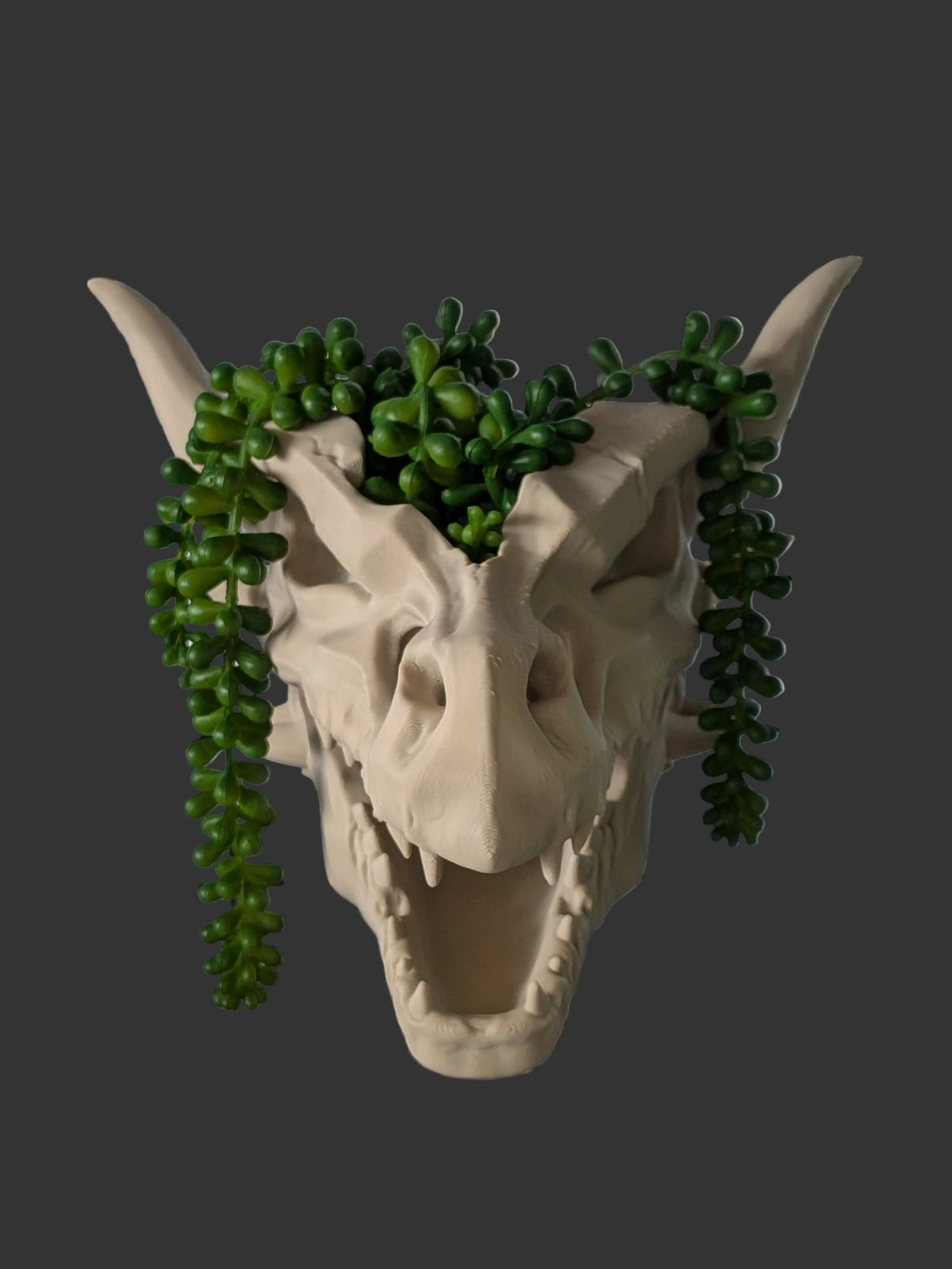 A beige horned skull wall sculpture with green trailing succulent plants growing from the forehead, displayed against a black wire grid backdrop.