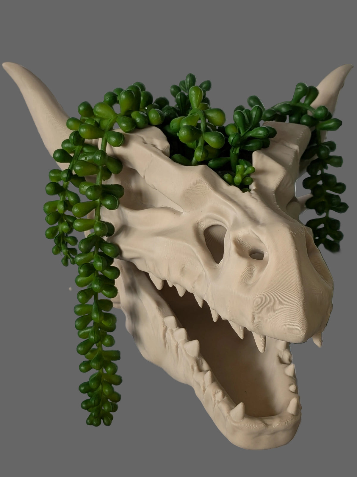 A beige dragon skull planter with green trailing succulent plants growing out of the crown, shown against a gray tiled wall.
