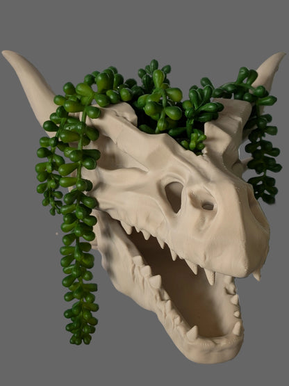 A beige dragon skull planter with green trailing succulent plants growing out of the crown, shown against a gray tiled wall.