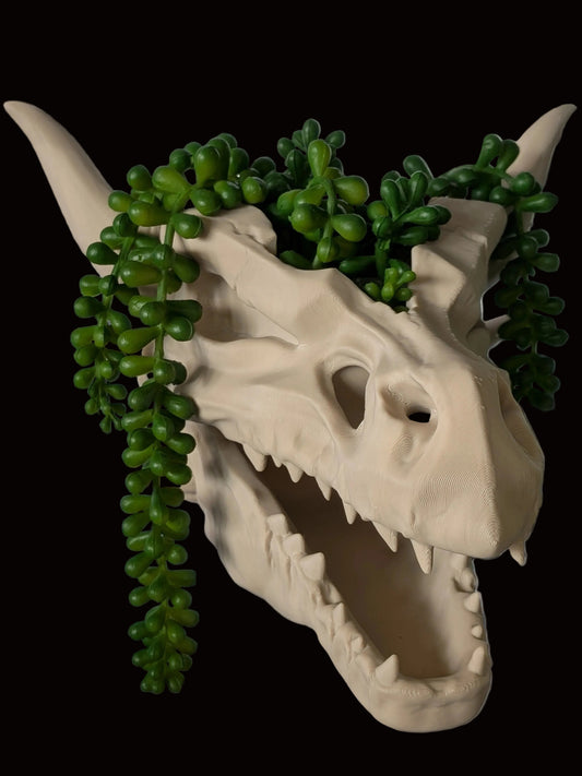 A beige dragon skull planter with green trailing succulent plants growing out of the crown, shown against a gray tiled wall.