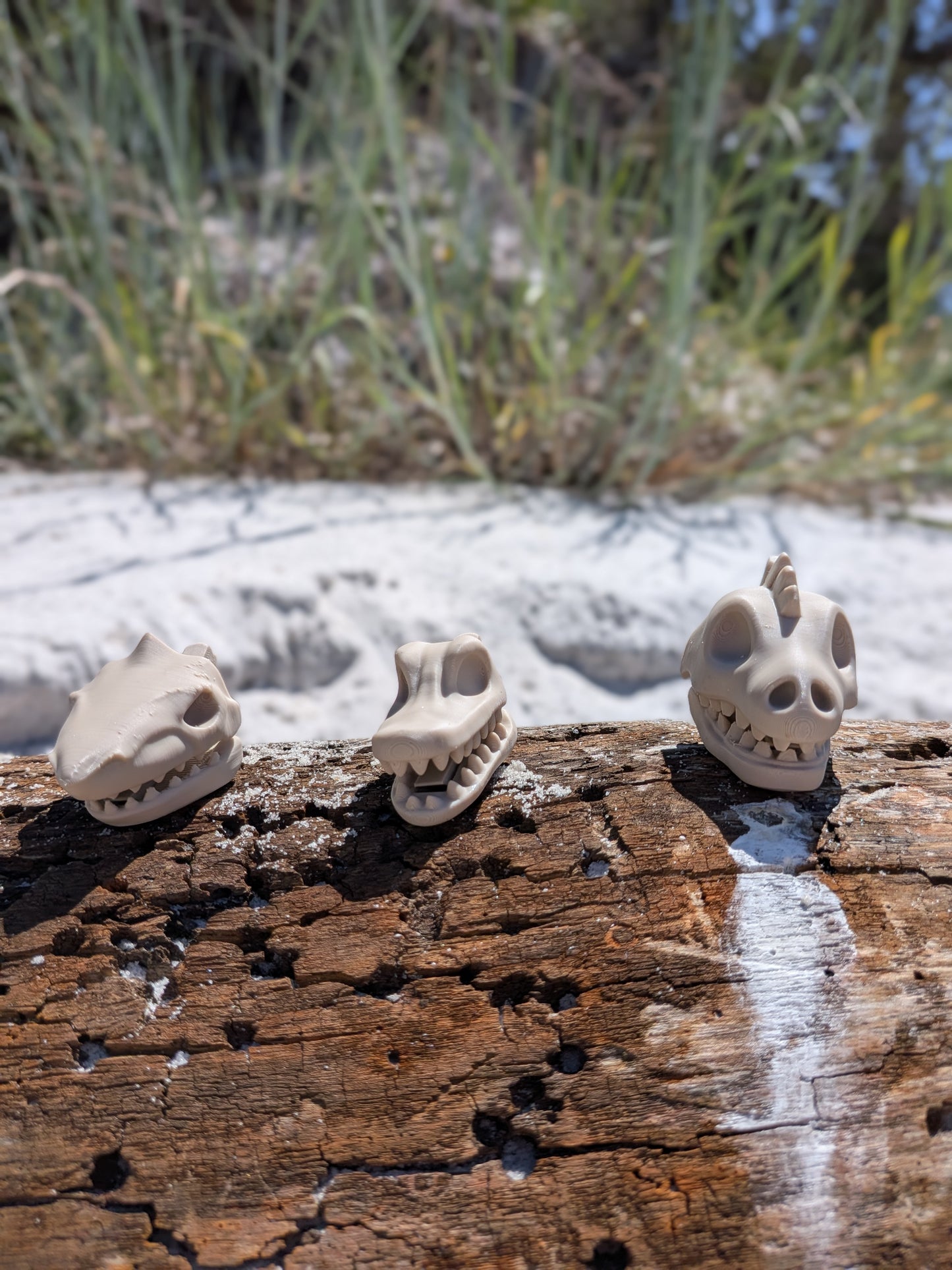 Skull Chip Bag Clip, 3D Printed Animal Skull Clip, Gothic Kitchen Decor