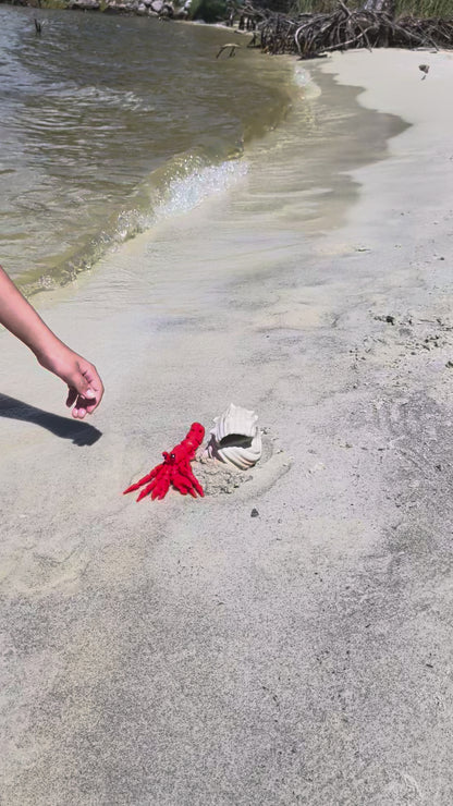 Mystery Hermit Crab, Articulated Flexi Toy, Random Color Fidget Crab